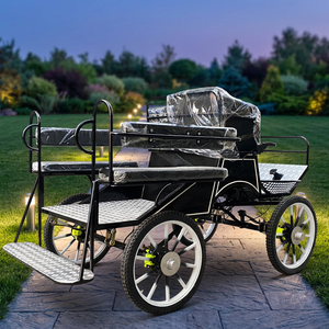 Charrette Classique Électrique pour Chevaux, Chariot à Châssis en Acier pour Courses Hippiques et Poneys, Carrosse de Marathon, Transport Spécialisé - Product Image 1