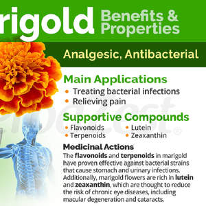 <span class=keywords><strong>Tagetes</strong></span> สารสกัดดอกดาวเรือง <span class=keywords><strong>erecta</strong></span> ได้รับการรับรองอินทรีย์สารสกัดดอกดาวเรืองผง lutein 5%-80% - Product Image 3