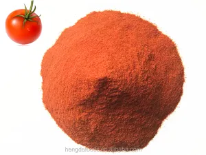 Sun Dried Tomato Powder For The Best Ltd Quality