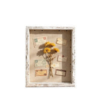 Marco de Fotos Magnético Tridimensional con Cubierta Transparente Abatible, Caja de Exhibición para Especímenes de Flores Secas