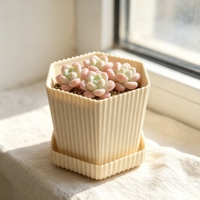 Pot de fleurs en plastique durable et écologique en forme de polygone pour plantes succulentes, maison et jardin, pot de culture de plantes vertes d'intérieur