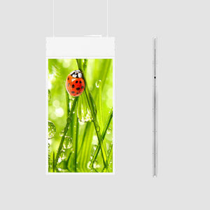 Module d'affichage numérique LED tactile ultra-mince MILEC personnalisé, écran mural vertical, affichage de magasin, carte d'affichage, garantie de 3 ans - Product Image 1