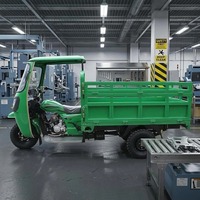 Meilleure Vente Tricycle à Essence Robuste 200-250cc, Moto Cargo à Essence avec Auvent, Vitesse 50-70Km/h
