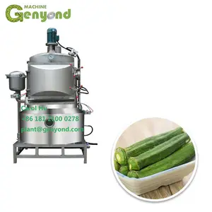 small fruit and vegetables okra carrot vacuum frying machine malaysia