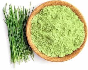 Poudre de blé vert naturelle, extrait de feuilles biologique, poudre de plante verte pour aliments santé - Product Image 5