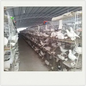 Pigeon breeding cage Layer Pigeon Breeding Cage