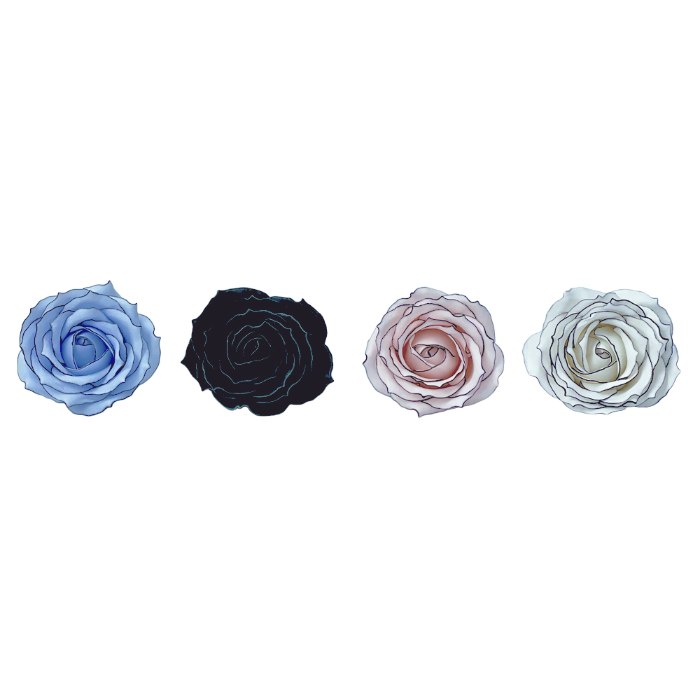 8cm Chanson rose