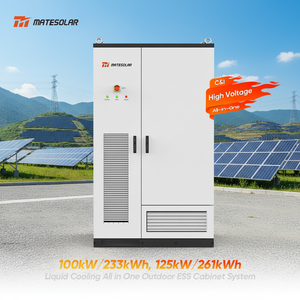 Armoire de stockage d'énergie extérieure tout-en-un 100kW 233kWh 125kW 261kWh Système solaire BESS intégré - Product Image 1