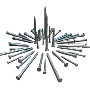 Clous en acier à tige lisse galvanisés à chaud pour la construction de toitures en bois, fournisseur OEM, quincaillerie industrielle, Inde - Product Image 1