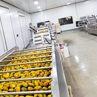 Geavanceerde productielijn voor fruitdranken en fruitverwerkingsapparatuur