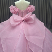 Robe de soirée de mariage en dentelle lourde rose, bretelles spaghetti, robe de bal, décolleté en cœur, traîne de chapelle, robe de soirée de Quinceañera