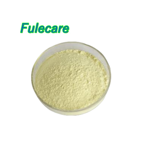 Poudre de baicaléine extrait de racine de <span class=keywords><strong>Scutellaria</strong></span> <span class=keywords><strong>Baicalensis</strong></span> poudre de baicaléine - Product Image 1