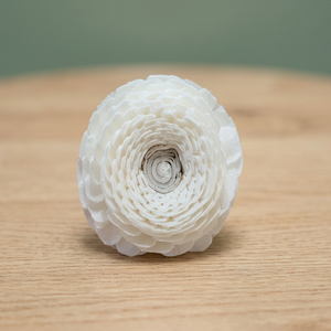 Lot de 5 cm de roseaux artificiels en bois de Sola blanc, séchés en Thaïlande, pour diffuseur, écologiques, pour décoration intérieure, fleurs et plantes - Product Image 2