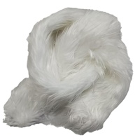 Nouvelle Écharpe Longue en Plumes de Renard Lumineuse à LED Unique pour Noël, Pâques, Nouvel An et Carnaval