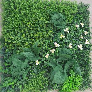 ألواح حائط عشب عمودية من خشب البقس ذات جودة عالية من خشب البقس بجودة عالية - Product Image 6