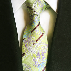 Corbatas de Poliéster para Hombre, Diseño Floral Paisley, Fabricante Chino - Product Image 2