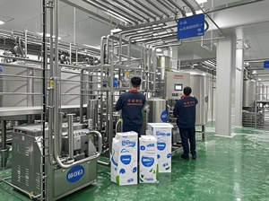 Nouvelle technologie innovante des fabricants, usine de transformation du <span class=keywords><strong>lait</strong></span> automatique de 1000 LTR, machines de transformation laitière rentables - Product Image 4