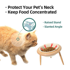 Shamitao mangkuk kucing keramik miring naik, makanan kucing dapat disesuaikan melindungi tulang belakang tengkuk anjing air hewan peliharaan - Product Image 5