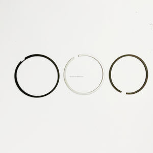 Anillo de pistón T4.236 T6.354.4 98,48mm 41158005 - Product Image 1