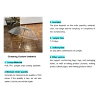 Parapluie Droit Rose Givré Transparent POE à 8 Baleines, Semi-Automatique, Personnalisé OEM ODM, avec Nœud Papillon Mignon, Idéal pour la Photographie et les Voyages