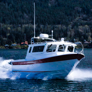 Barco <span class=keywords><strong>de</strong></span> Pesca <span class=keywords><strong>de</strong></span> <span class=keywords><strong>Alta</strong></span> Velocidad con Cabina, <span class=keywords><strong>de</strong></span> Aluminio Soldado, en Perfecto Estado, con Suelo <span class=keywords><strong>de</strong></span> EVA, para Pesca en Ríos - Product Image 6