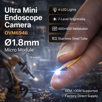 Module de caméra à capteur d'image OVM6946 pour endoscope jetable CMOS 1,05*1,05 mm 400*400p Personnalisation en usine Haute qualité FPGA