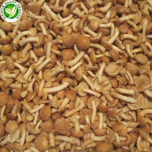 Замороженные грибы плавертус ostreatus для здорового питания IQF - Product Image 3