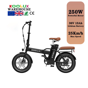 Bicicleta Eléctrica Plegable KOOLUX X10 Mini Ebike EU para Adultos, Motor de 250W de Potencia Máxima, 15.6 MPH, Bicicleta Eléctrica Urbana de 16 Pulgadas para Adultos - Product Image 1