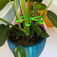 Support de Monstera en PET et Fer, Étanche, Résistant aux Chocs, Taille Personnalisable, Support de Branche, Support de Pot de Fleurs Fixe