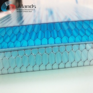 Transparente 8mm 10mm PC policarbonato hueco plástico Twinwall paneles de techo a bajo precio para invernadero - Product Image 3