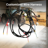 Harness Kabel PVC Kustom untuk Mesin Pertanian, Otomotif, Kelautan, Excavator, ATV/UTV, Perahu, Traktor, Golf Cart & Komputer
