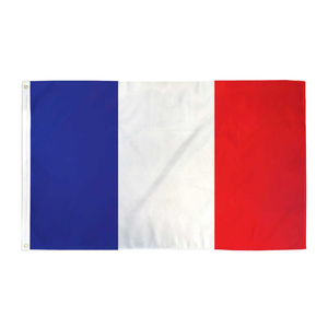 Vente en gros 100% polyester drapeau français 3x5ft Stock <span class=keywords><strong>FR</strong></span> bleu blanc rouge drapeaux français - Product Image 1