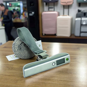 Bilancia per Bagagli da 110 Libbre, Bilancia Digitale Portatile per Bagagli, Bilancia Manuale Portatile, Batteria Inclusa - Product Image 2