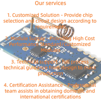 Module de transmission et de contrôle de données sans fil IoT à faible latence avec antenne, protocole privé 2,4 GHz, modulation GFSK