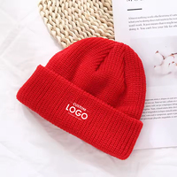 Article de promotion en peluche, nouveau chapeau unisexe chaud d'hiver animal 2D 3D enfants tricoté broderie logo bonnet personnalisé