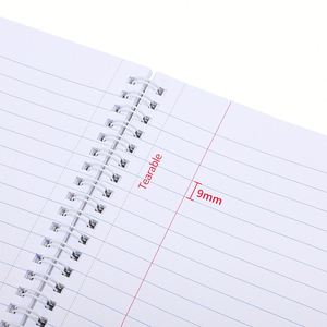 Cahiers scolaires à motifs variés, impression personnalisée, 70 feuilles, 1/2/3 sujets, papier ligné perforé, cahier à spirale - Product Image 3
