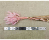 Herbe de la Pampa naturelle séchée de haute qualité, style bohème, pour décoration de Pâques ou de mariage, chaque tige