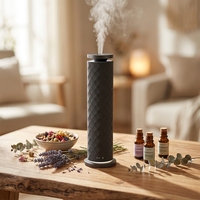 Diffuseur de parfum électrique sans eau pour la maison, 120 ml, diffuseur de parfum d'ambiance de luxe pour la décoration des tissus, aromathérapie, spa
