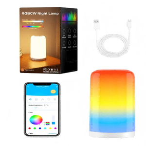 Daybetter Smart <b>Touch</b> <b>Bedside</b> Table <b>Lamp</b>, Dimmable Night <b>Lamp</b>,Suitable for Living Room Home Gift - Product Image 6