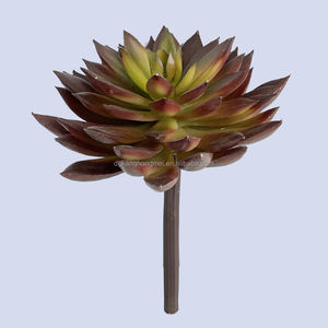 Planta de cactus grande para exteriores, mini suculentas artificiales de tacto real, sedum eceveria, púas en maceta, sin maceta, pequeñas para Decoración - Product Image 2