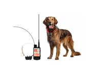Collier de suivi GPS pour chien avec choc électrique, autonomie ultra-longue, suivi en temps réel, contrôle par bouton, pour chiens de chasse