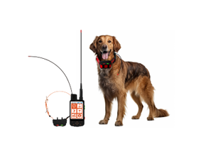 <span class=keywords><strong>Collier</strong></span> de suivi GPS pour chien avec choc électrique, autonomie ultra-longue, suivi en temps réel, contrôle par bouton, pour chiens de <span class=keywords><strong>chasse</strong></span> - Product Image 3