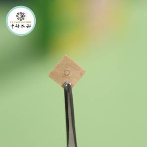 Vente <span class=keywords><strong>chaude</strong></span> Graines En Acier Inoxydable <span class=keywords><strong>Acupuncture</strong></span> Médecine Chinoise Aiguilles De Traitement - Product Image 6