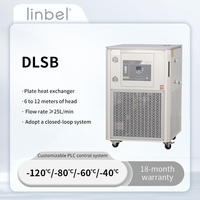 Pompe de réfrigération à circulation de liquide pour laboratoire DLSB-200/80