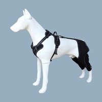 Attelle de genou pour chien, réglable, pour activités extérieures, avec sangle de soutien et protection de jambe pour la récupération