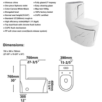 WC monobloc en céramique OVS de luxe à double chasse, couleur noir et or, certifié CUPC