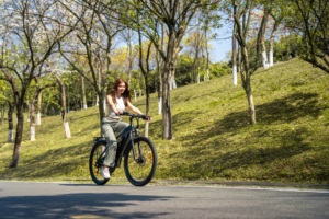 Bicicleta Eléctrica de Montaña Duotts C29 para Cross-Country con Cuadro de Aluminio y Motor en el Buje Trasero - Product Image 6