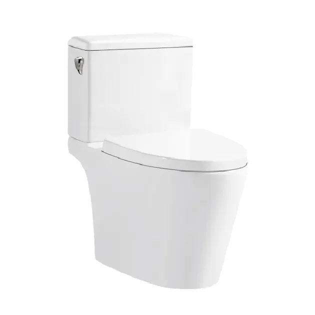 Fast Delivery Home Hotel Ceramic Commode