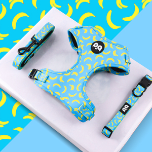 Dayanıklı naylon neopren Polyester dolgu ile yüksek kalite ayarlanabilir köpek koşum özel tasarım en iyi fiyat - Product Image 2
