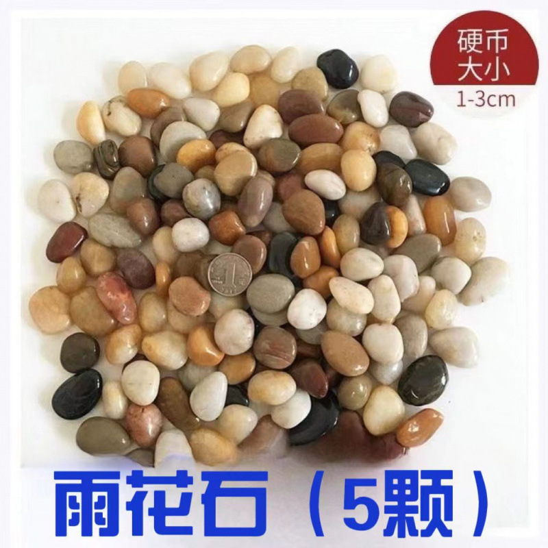 Light color 25-32cm